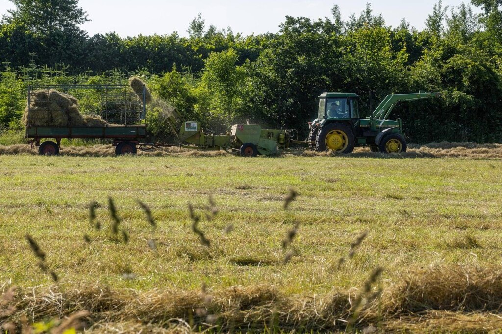 Ile kosztuje nowy John Deere i od czego zależy cena?